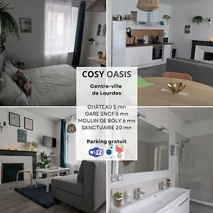 New Cosy Oasis - 2ch - 75 M2 Grande Terrasse Collective Lourdes